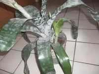 DSCF0298.webp