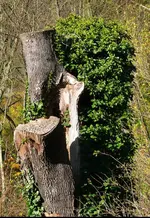 P1200320.webp