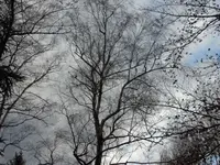 SAM_2714.webp