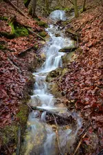 DSC_0574.webp
