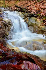 DSC_0576.webp