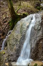 DSC_0580.webp