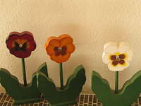 IMG_3756.webp
