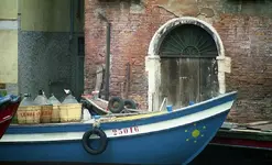 VZ (6).webp