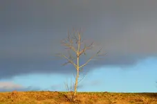 DSC_0608.webp