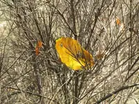 Bild 1040.webp