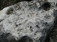 IMG_1288.webp