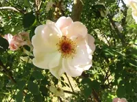 036.webp