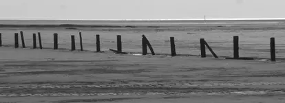 schön1.webp