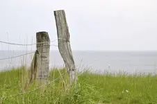 schön2.webp