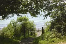See9.webp