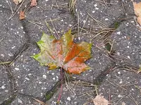 023.webp