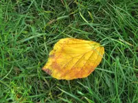 Bild 1858.webp