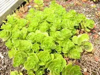 Bild 1721.webp