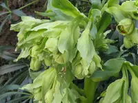 006_1024x768.webp