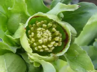007_1024x768.webp