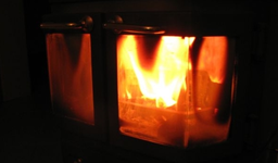 Birkenfeuer.webp