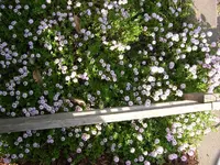 DSCN6282.webp