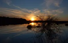 moor22.webp