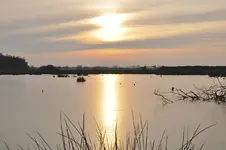 moor27.webp