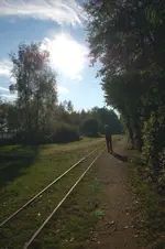 moor3.webp