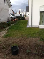 011.webp