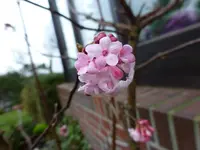 P1070555.webp