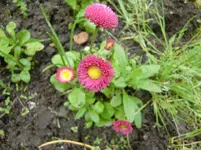 CIMG1390.webp