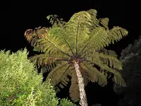 Copy of Copy of IMG_2034v.webp