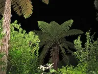 Copy of Copy of IMG_2039v.webp