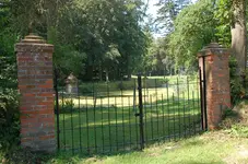schön19.webp