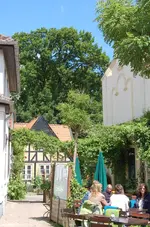 schön18.webp