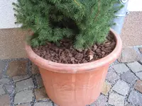 002.webp