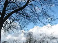 Bild 7171.webp