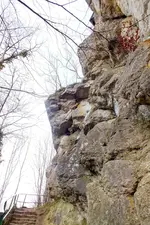 2014_0109winter0010 fels.webp