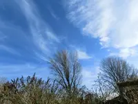 CIMG6508.webp