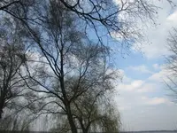 067.webp