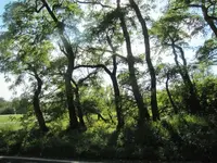 191.webp