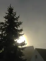 Sonne gegen Nebel_0018.webp