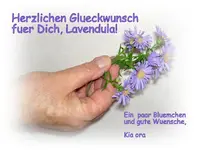 Lavendula 2014 v.webp