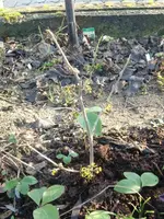 CIMG4342.webp