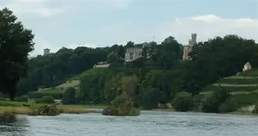 Dresden19.webp