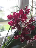 001.webp