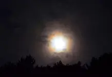 Mond.webp