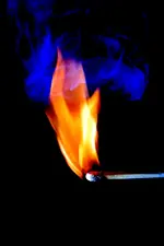 IMG_1443_01.webp