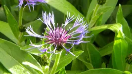 DSCN4695.webp