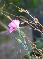 img_5126_hf.webp