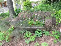 Copy of IMG_5608v.webp