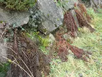 03 gardener02.webp