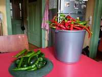 letzte ernte2013.webp